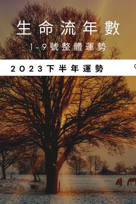 2023生命靈數流年9